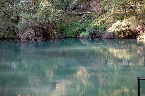 Jenolan Caves - Wildlife And Caves - Accommodation Bookings 1