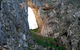 Jenolan Caves - Wildlife And Caves - thumb 3