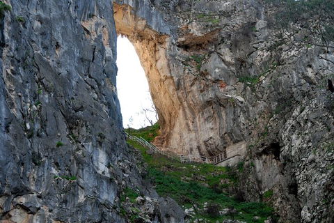 Jenolan Caves - Wildlife And Caves - Accommodation Bookings 3