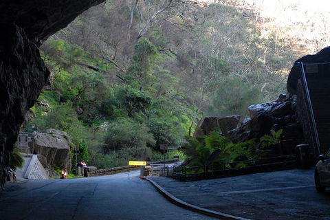 Jenolan Caves - Wildlife And Caves - Accommodation Bookings 6