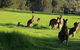 South Coast Photography Field Day - thumb 6