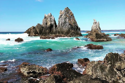 South Coast Photography Field Day - Accommodation Bookings 0