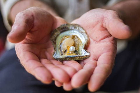 Australian Pearl Experience & Kangaroo Encounter Day Trip From Sydney - Accommodation Bookings 3