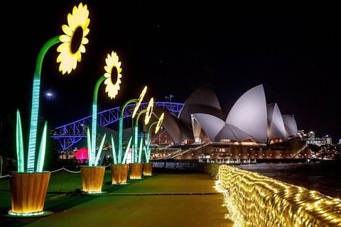 Private Vivid Sydney Harbour Cruise For Up To 20 Guests - Accommodation Bookings 6