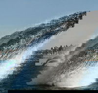 2hr Explorer Cruise - Sydney's best value whale watching cruise - Accommodation Bookings