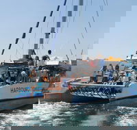 Manly Friday Night Cruise - Accommodation Bookings