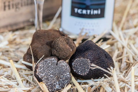 Truffle Hunts With Lunch - Southern Highlands - Accommodation Bookings 0