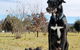 Truffle Hunts With Lunch - Southern Highlands - thumb 3