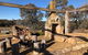 Truffle Hunts With Lunch - Southern Highlands - thumb 4