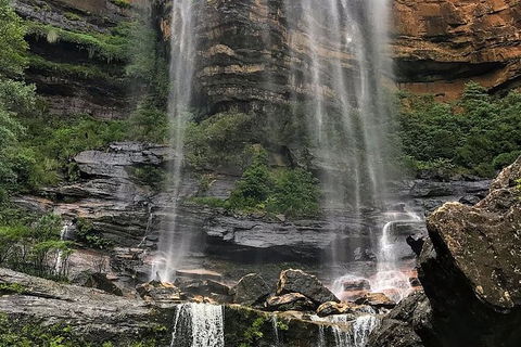 Private 10-hour Tour To Blue Mountains From Sydney - Hotel Pick Up & Drop Off - Accommodation Bookings 3