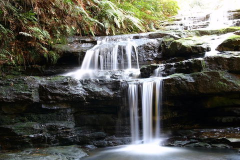 Private 10-hour Tour To Blue Mountains From Sydney - Hotel Pick Up & Drop Off - Accommodation Bookings 6
