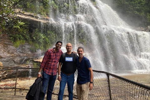 Blue Mountains Highlights & Wildlife Park - Accommodation Bookings 4