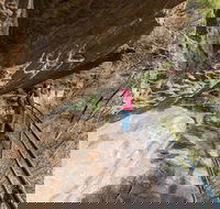 Blue Mountains Highlights  Wildlife Park - Accommodation Bookings
