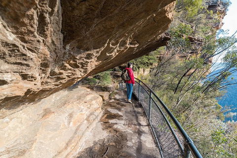 Blue Mountains Highlights & Wildlife Park - Accommodation Bookings 0