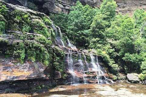 Blue Mountains Highlights & Wildlife Park - Accommodation Bookings 8