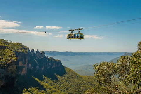 Blue Mountains Highlights, Wildlife Park And Scenic World Full Day Private Tour - Accommodation Bookings 0
