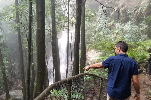 Blue Mountains Highlights, Wildlife Park And Scenic World Full Day Private Tour - Accommodation Bookings 6