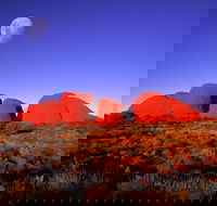 Kata Tjuta Afternoon Walpa Gorge Tour - Accommodation Bookings