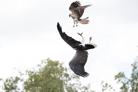 Top End Safari Camp Day Tour - Accommodation Bookings 3