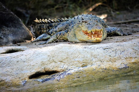 Ethical Adventures - Kakadu 2 Day- Max 10 Guests - Accommodation Bookings 3