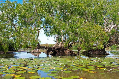 Ethical Adventures - Kakadu 2 Day- Max 10 Guests - Accommodation Bookings 10