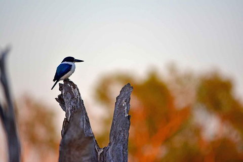 Ethical Adventures - Kakadu 2 Day- Max 10 Guests - Accommodation Bookings 4