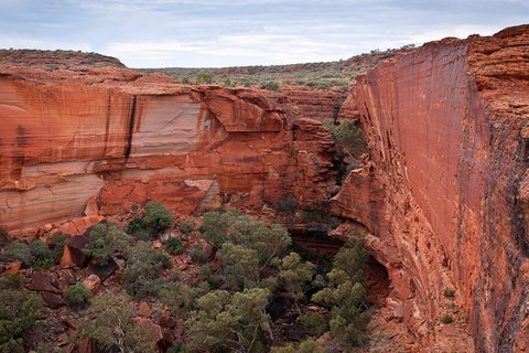 Uluru, Kata Tjuta And Kings Canyon Camping Safari From Alice Springs - Accommodation Bookings 4