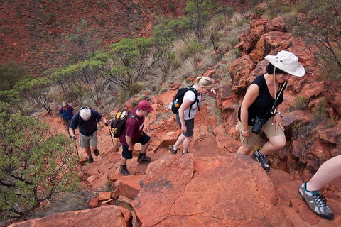 Uluru, Kata Tjuta And Kings Canyon Camping Safari From Alice Springs - Accommodation Bookings 3