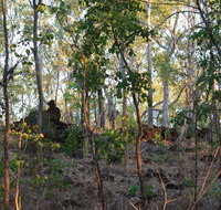 World War II Beyond Darwin - Accommodation Bookings