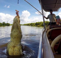 Pathfinder Jumping Crocodile Cruise Shuttle Bus - Accommodation Bookings