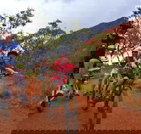 From Yulara Discover Uluru Half Day Bike Tour - Accommodation Bookings