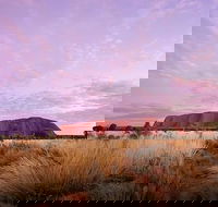 Sunset Australian Barbecue Dinner in Uluru - Accommodation Bookings
