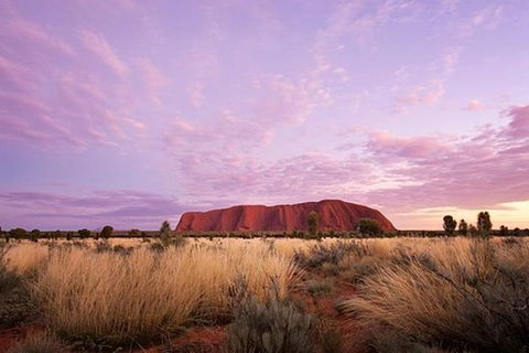Sunset Australian Barbecue Dinner In Uluru - Accommodation Bookings 0