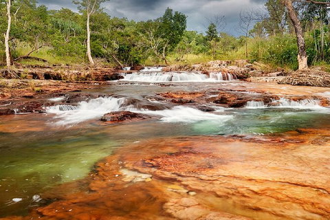Full-Day Private Guided Tour To Litchfield National Park - Accommodation Bookings 14