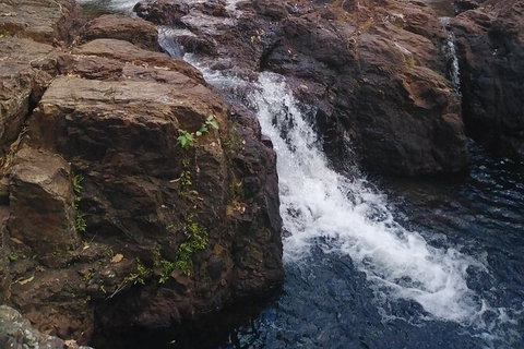 Full-Day Private Guided Tour To Litchfield National Park - Accommodation Bookings 8