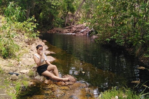 Full-Day Private Guided Tour To Litchfield National Park - Accommodation Bookings 11