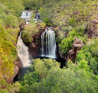 Full-Day Private Guided Tour to Litchfield National Park - Accommodation Bookings