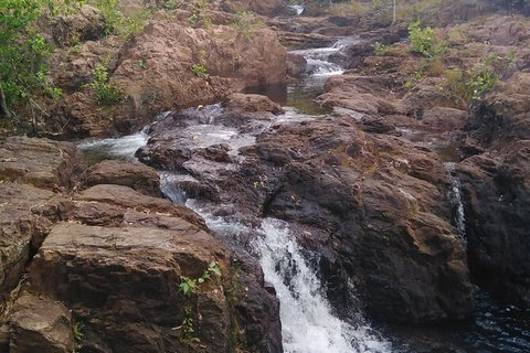 Full-Day Private Guided Tour To Litchfield National Park - Accommodation Bookings 15