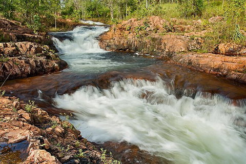 Full-Day Private Guided Tour To Litchfield National Park - Accommodation Bookings 3