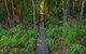 Full-Day Private Guided Tour To Litchfield National Park - thumb 7