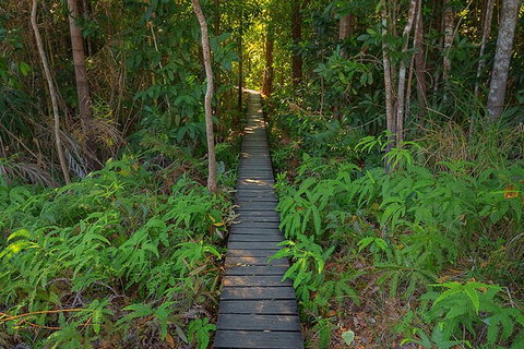 Full-Day Private Guided Tour To Litchfield National Park - Accommodation Bookings 7