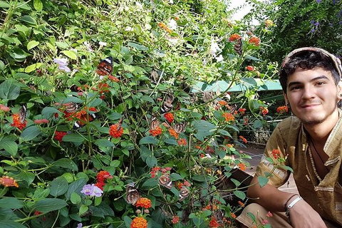 Full-Day Private Guided Tour To Litchfield National Park - Accommodation Bookings 17