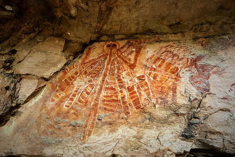 Arnhem Land Injalak Hill Full-Day Tour From Darwin - Accommodation Bookings 1