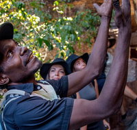 Arnhem Land Injalak Hill Full-Day Tour from Darwin - Accommodation Bookings