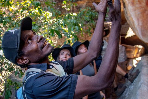 Arnhem Land Injalak Hill Full-Day Tour From Darwin - Accommodation Bookings 0