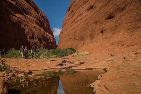 4 Day/3 Night Perentie Dreaming Safari - Accommodation Bookings 3