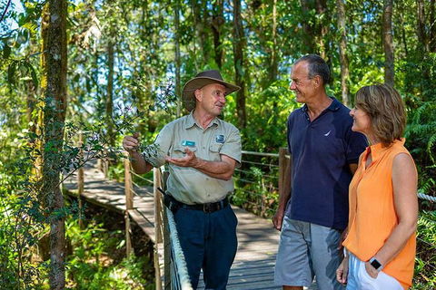 Kuranda Scenic Railway Day Trip From Cairns - Accommodation Bookings 2
