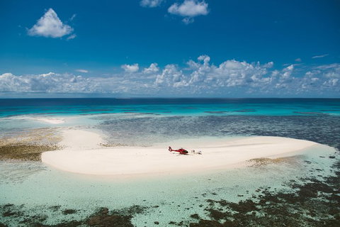 Private Helicopter Tour: Reef Island Snorkeling And Gourmet Picnic Lunch - Accommodation Bookings 3