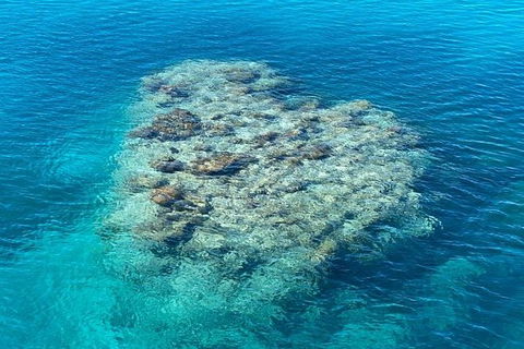 Lady Musgrave Day Trip From Bundaberg Including Snorkeling, Glass Bottom Tour And Guided Island Walk - Accommodation Bookings 2