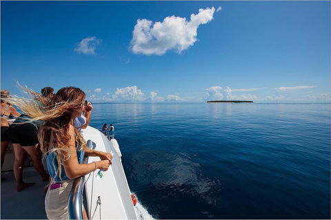 Lady Musgrave Day Trip From Bundaberg Including Snorkeling, Glass Bottom Tour And Guided Island Walk - Accommodation Bookings 4